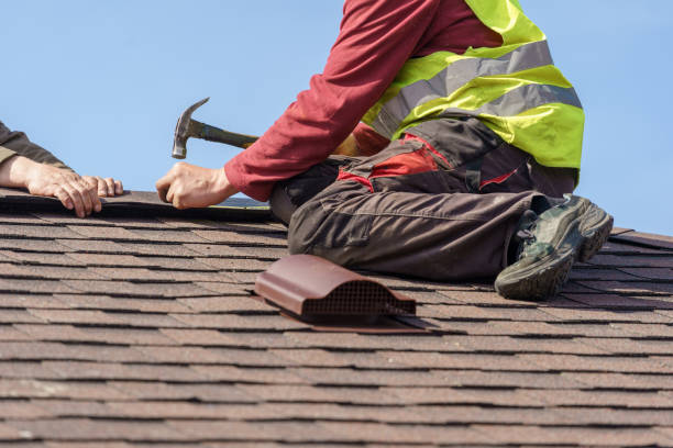 Best Metal Roofing Contractor  in Lake Odessa, MI