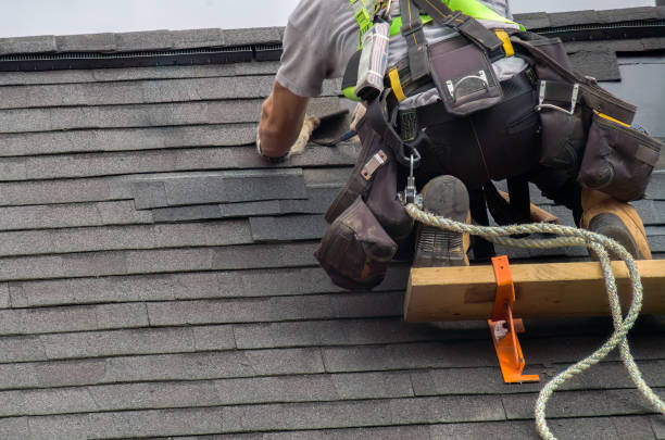 Best Commercial Roof Installation  in Lake Odessa, MI