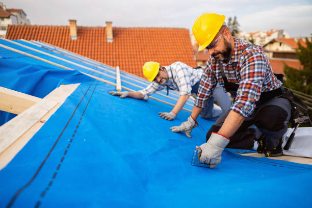 Best Roof Waterproofing Services  in Lake Odessa, MI