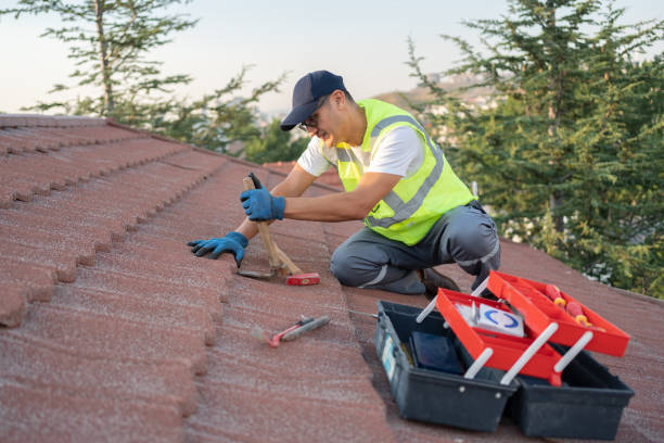 Best Residential Roofing Contractor  in Lake Odessa, MI