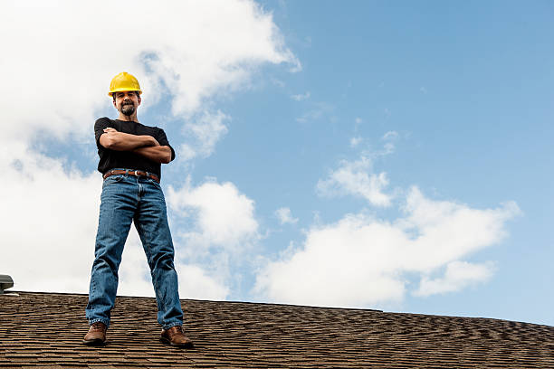 Best Roof Repair Services  in Lake Odessa, MI