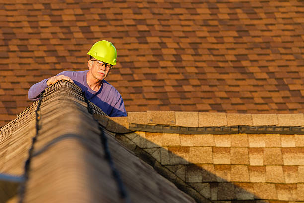 Best Roof Gutter Cleaning  in Lake Odessa, MI