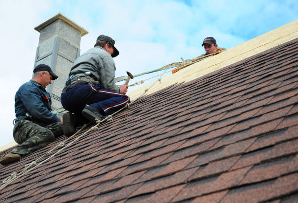 Best Local Roofing Companies  in Lake Odessa, MI