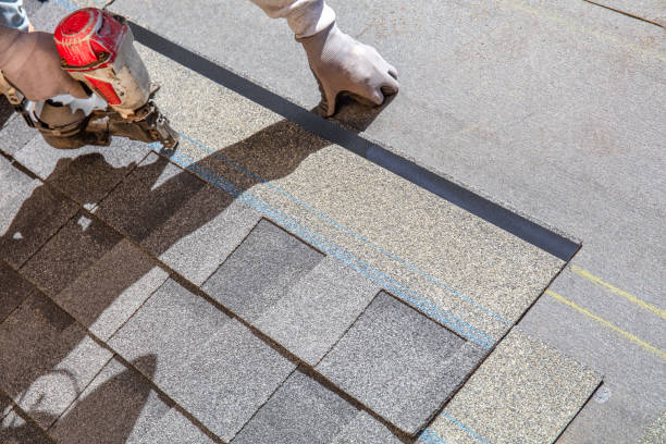 Best Roof Restoration Services  in Lake Odessa, MI