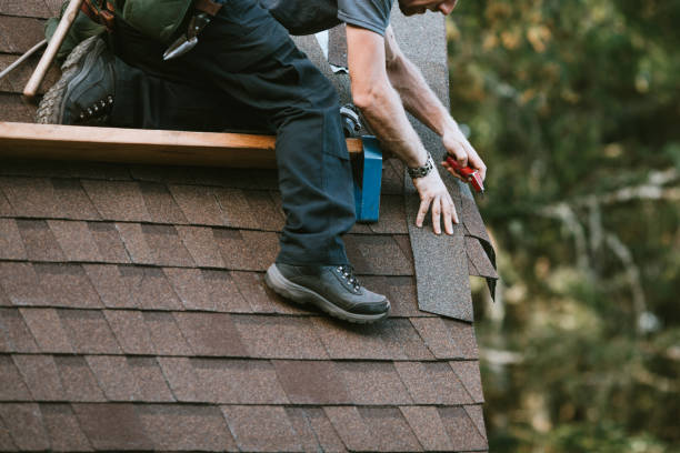 Best New Roof Installation  in Lake Odessa, MI
