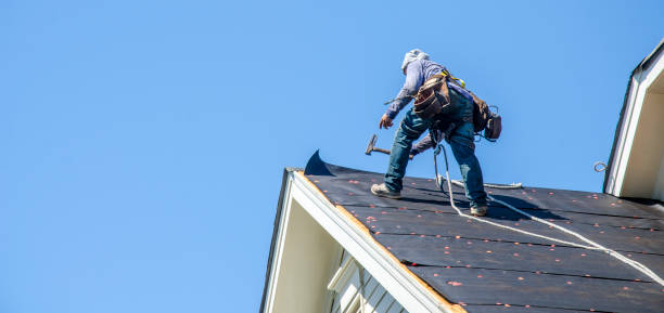 Best Roof Gutter Cleaning  in Lake Odessa, MI